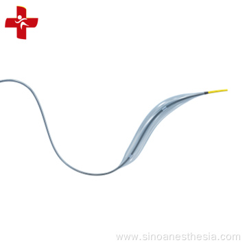 Intravascular PTCA Balloon Catheter